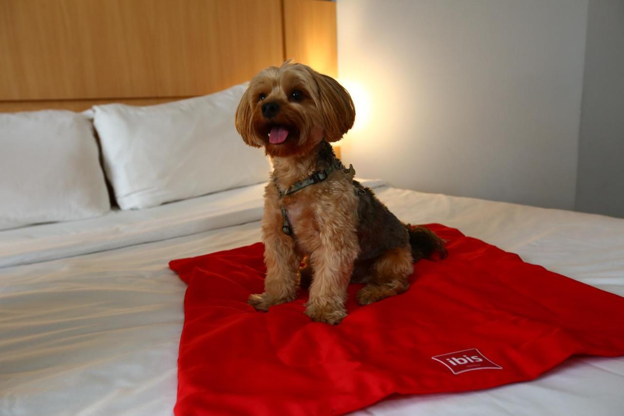 Hotel Ibis Rio De Janeiro Santos Dumont Zewnętrze zdjęcie
